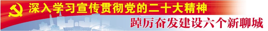 深入學習宣傳貫徹黨的二十大精神踔厲奮發建設六個新聊城.jpg
