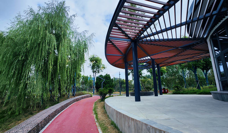 (攝影專版) 水泥叢林里的綠野仙境(分離(3154647)-20221111111332_副本.jpg