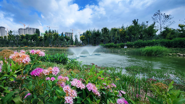 (攝影專版) 水泥叢林里的綠野仙境(分離(3154645)-20221111111318_副本.jpg