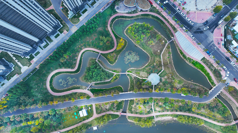 (攝影專版) 水泥叢林里的綠野仙境(分離(3154637)-20221111111305_副本.jpg