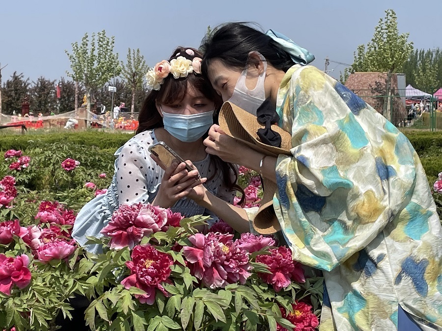 (晚報投稿)賞景何須去遠方 艾山腳下牡丹(2610739)-20220422105915.jpg