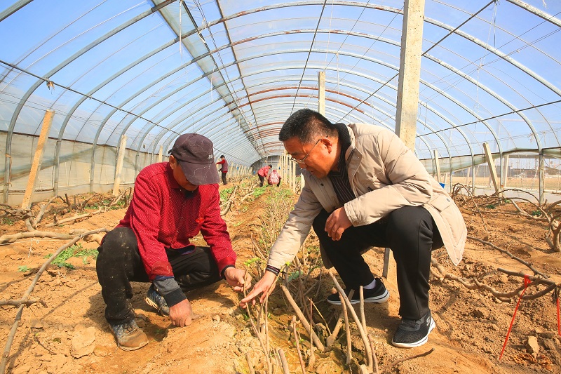 專家田間指導 果農受益匪淺(分離圖)8(2532783)-20220325105031.jpg